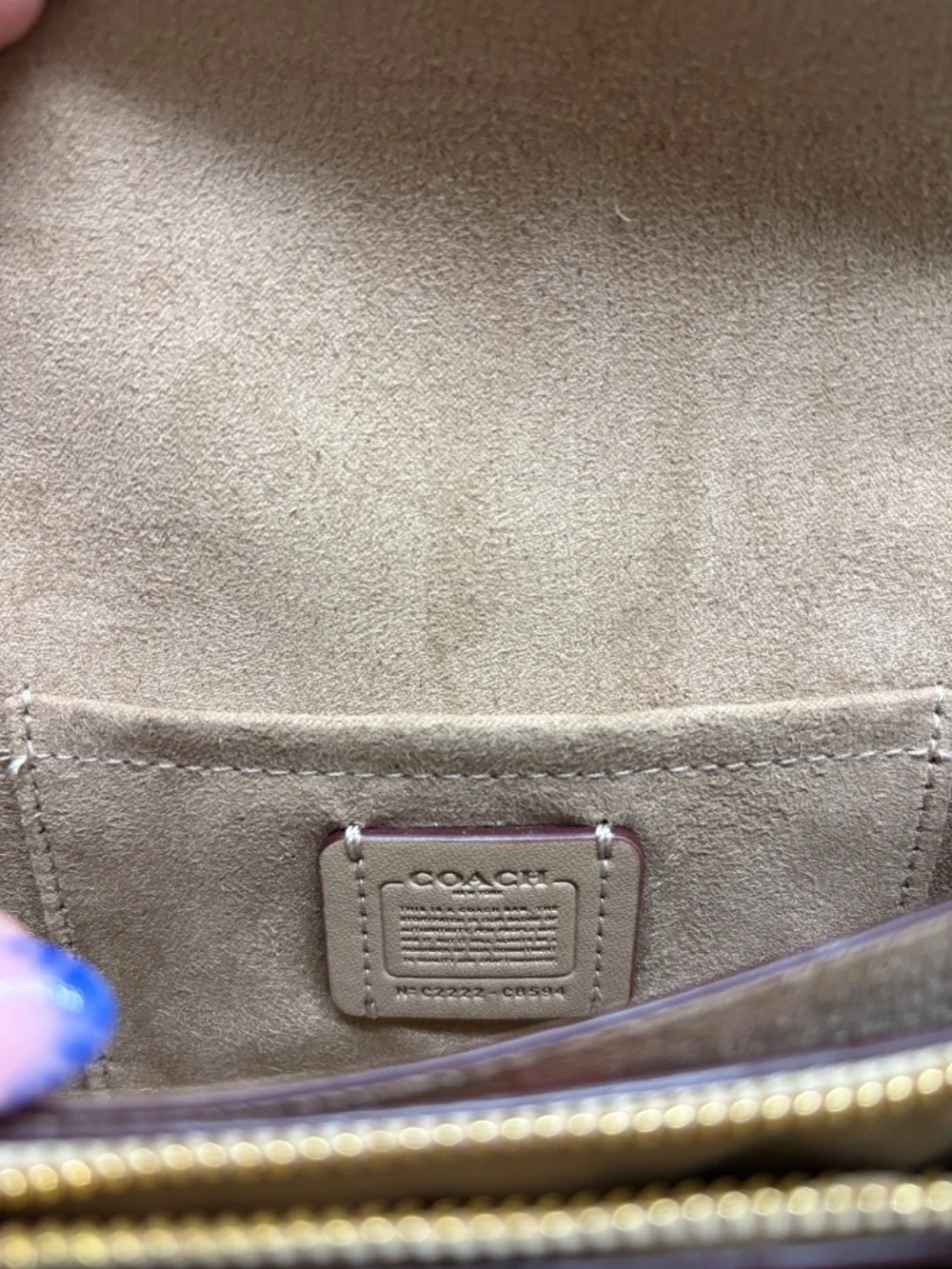 Coach Klare Crossbody Bag - Strawberry Print